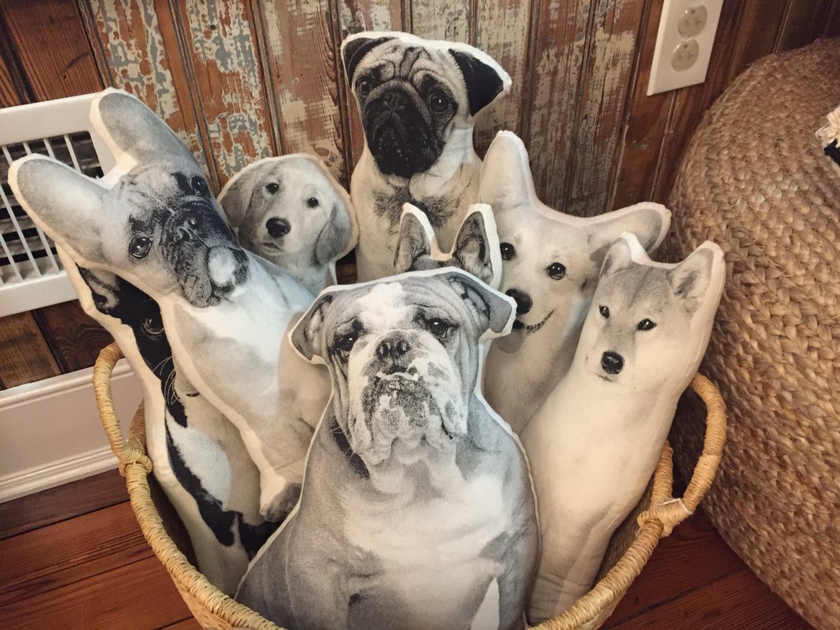 chinacat29's tweet photo. The overpriced animal pillow market is strong in #Philly @MoonAndArrow #taboottaboot #trustyllama @officialsouthst #fabricrow https://t.co/JIe93nj0cb