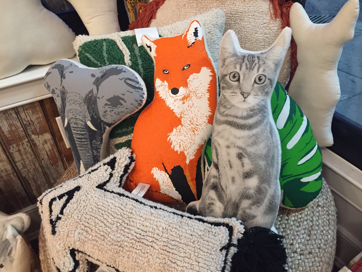 chinacat29's tweet photo. The overpriced animal pillow market is strong in #Philly @MoonAndArrow #taboottaboot #trustyllama @officialsouthst #fabricrow https://t.co/JIe93nj0cb