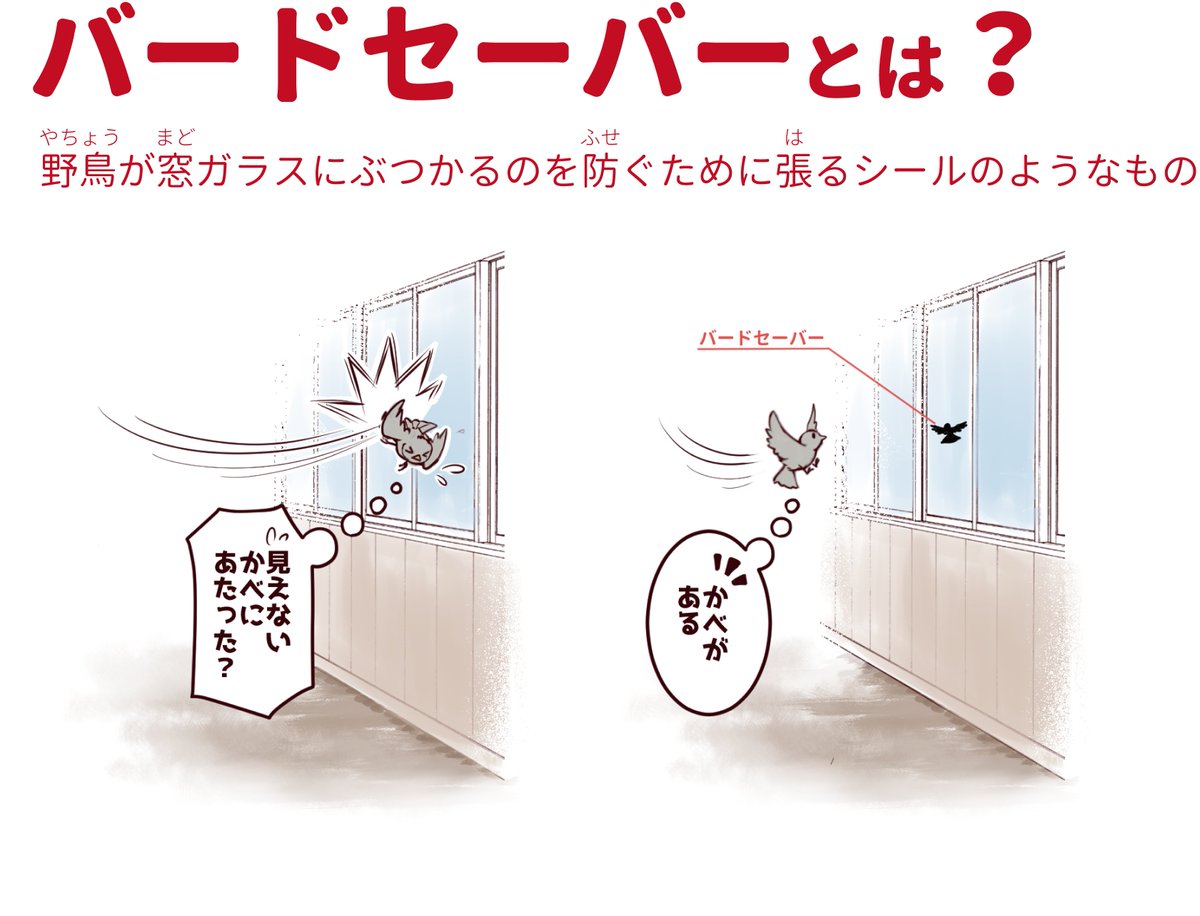 10月28日（土）はむさしの自然観察園にて「秋の自然体験祭り」が開催されます。（10時～15時、参加費無料）いろいろなクラフトや野外プログラムがあります。
私は「バードセーバーを作ろう」というコーナーをやる予定です（ブゥゥン…とか… 