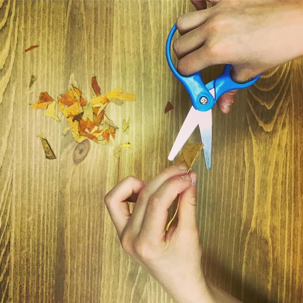 Snipping fall leaves for a leaf collage!  A fun way to practice skill building! 🍁🍁🍁 ift.tt/2l7g6eY