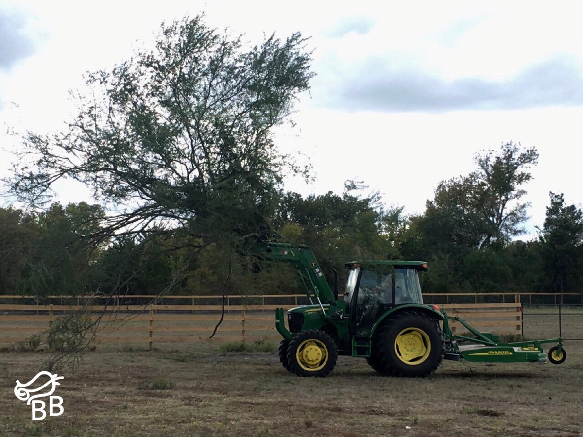 BeautyBeastStab's tweet photo. #thehulk #deerepower #bigasstree .....those hashtags came to mind after Matt spent the afternoon clearing more huisache trees. #ranchlife https://t.co/XnIFBdGLzs