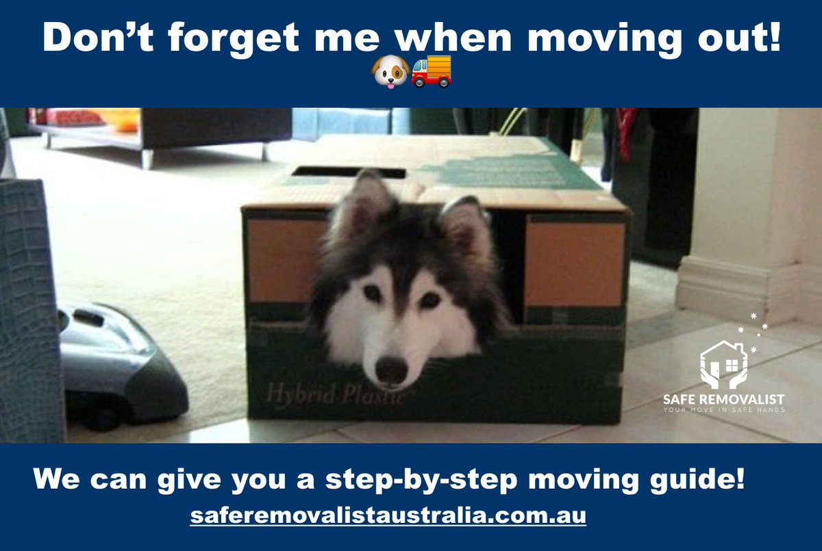 SafeRemovalistA's tweet photo. Don't forget me! 🚚 📦 💪⠀⠀
https://t.co/GHYUfNQvkn⠀⠀⠀⠀
⠀⠀
#SafeRemovalistAustralia #MovingOut #sydney #sydneylife #sydneylocal https://t.co/dkm7D7kV2m