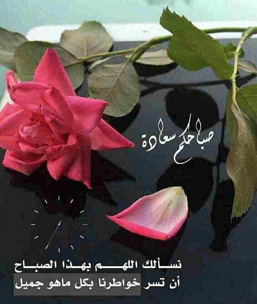 fatimh_sh5's tweet photo. https://t.co/zeEeiapxmt