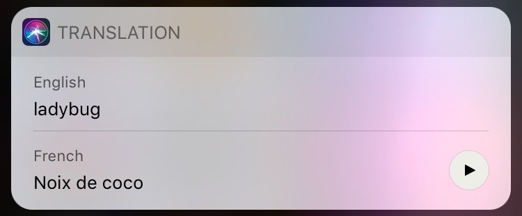 fredboyle's tweet photo. Siri can translate many things but ladybug isn’t one of them. https://t.co/26pEFRdlRv