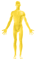 TrueHealth68's tweet image. MagneCal D™
Provides balanced levels of #calcium &amp;amp; #magnesium, along with #vitaminD in bioavailable forms buff.ly/2ydLMSM Pls RT