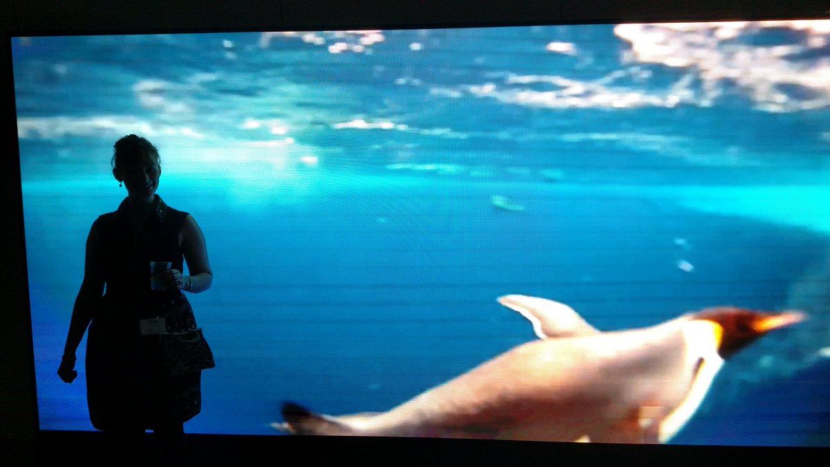 IllinoisScience's tweet photo. .@dhsimmons1 swimming with the GIANT penguins at #ScienceCocktail @DIRTT!! https://t.co/nQUwI92JsX