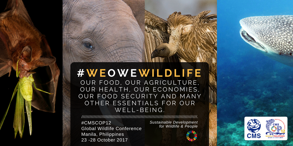mantaisabel's tweet photo. #WeOweWildlife our food, health, economies and many other essentials for our well-being https://t.co/65Gp3ZLkva #CMSCOP12 #sustainableuse https://t.co/Mma5kMm6ja