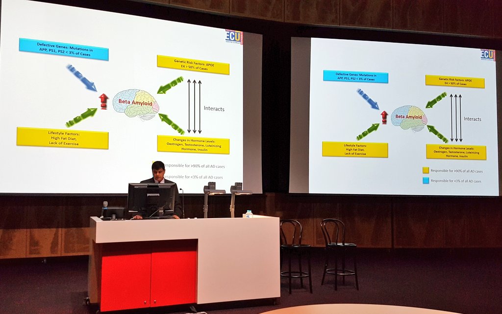 DoktorGen's tweet photo. Fantastic public lecture @RalphNMartins1 on preventing Alzheimer's disease @Macquarie_Uni @marynewportmd #bethechange2017 https://t.co/Fs5NrlJaHi