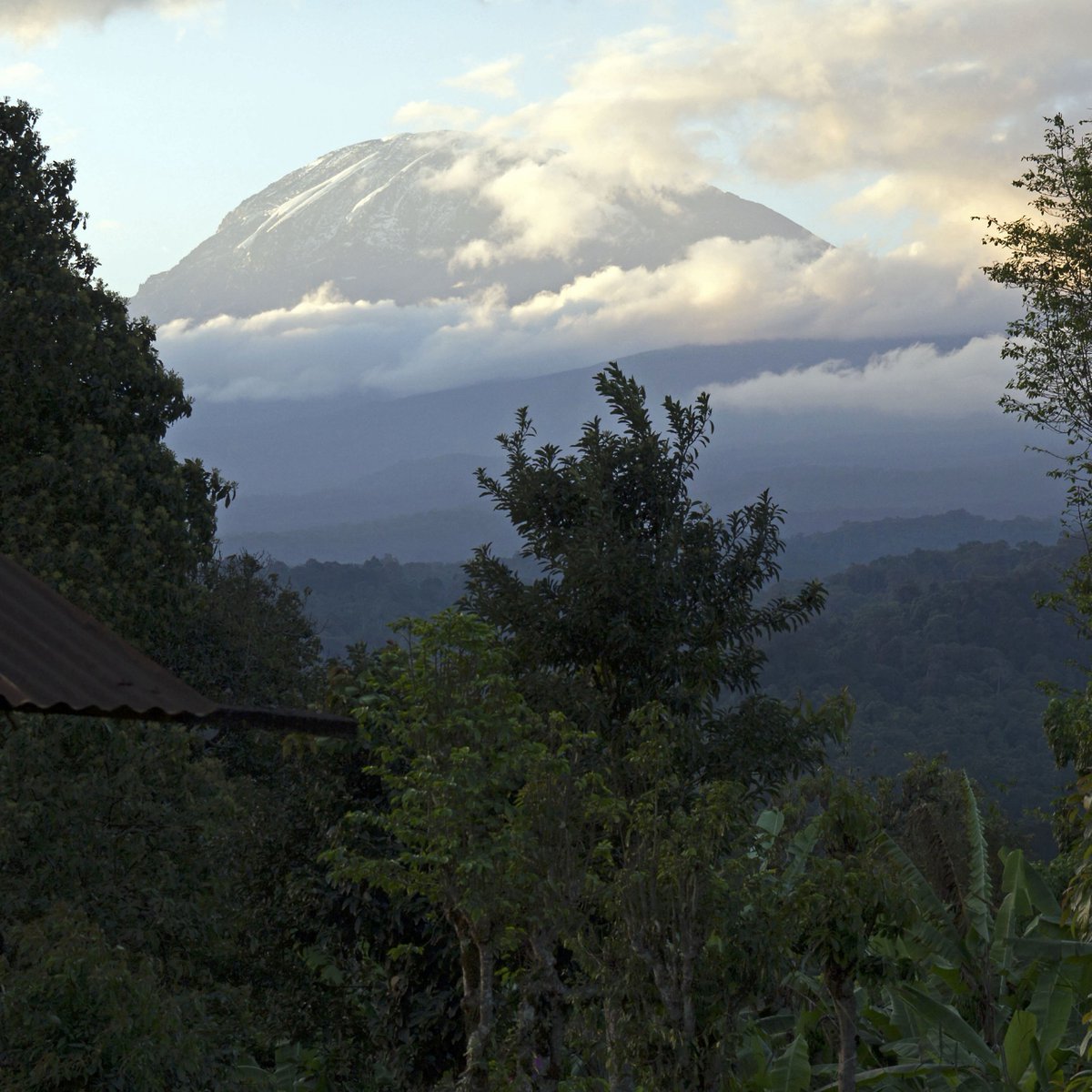 oldmoshi2016's tweet photo. #visit Tanzania #cultural experience #old moshi#kilimanjaro#visitthepeople# https://t.co/FtCZQiySId