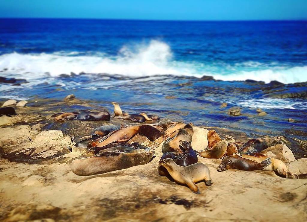 ©huck ®aye tweet media