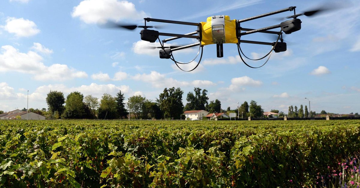 FruitsCoin's tweet photo. #Blockchain has big potential to solve significant problems in #agriculture .
#BlockchainRevolution
#blockchainQE
#blockchainhealth https://t.co/SndSMjZqDk