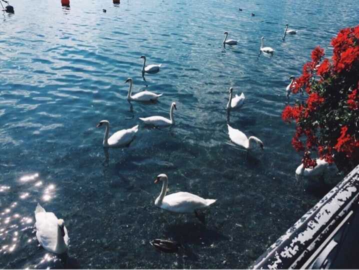 mum_dad200's tweet photo. ﴿ والصبح إذا تنفس ﴾🌿.
 #عروض_خريف_جولي_شيك https://t.co/ySTrsQAOrj