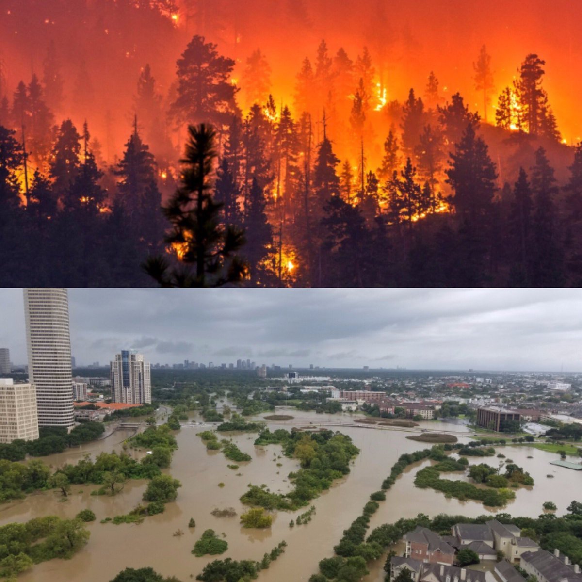 tweetydeej's tweet photo. Wildfires vs. Floods. Your 2017 World Series. Both cities deserve positive energy🙏🏽. #WorldSeries2017 https://t.co/aTz4FMOnu7