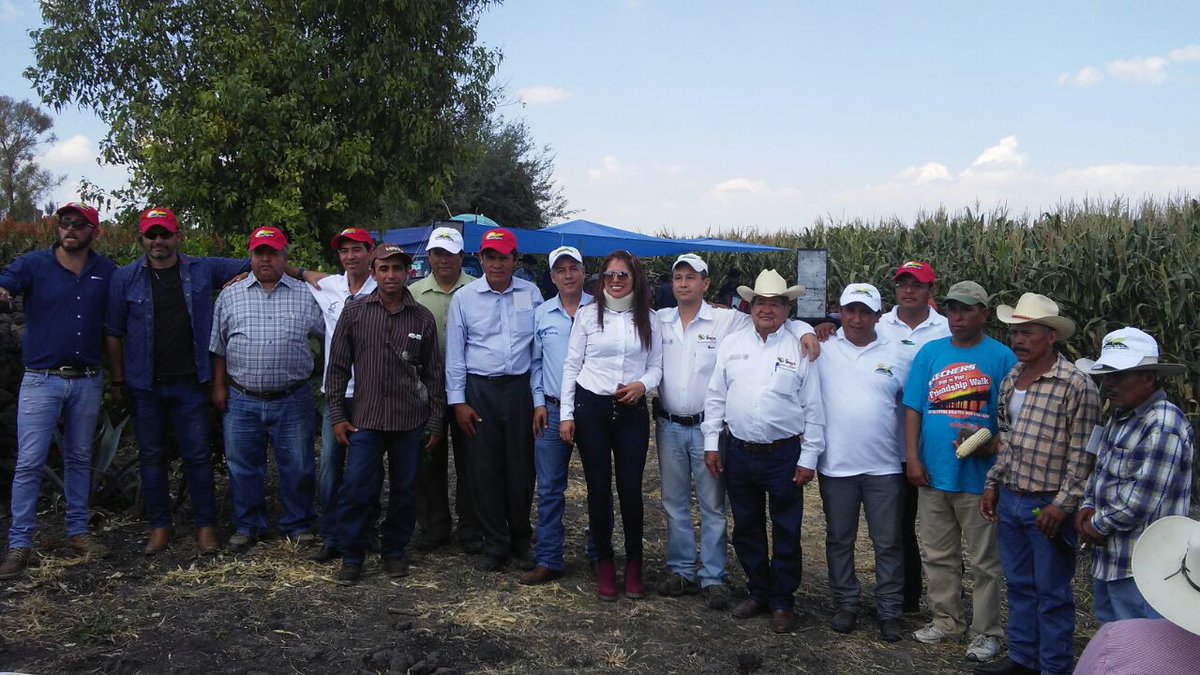mary_ceb's tweet photo. #ExtensionistasGto, Evento sobre producción sustentable de maíz de alto rendimiento con tecnologías mexicanas. https://t.co/zZI0z6GxPI