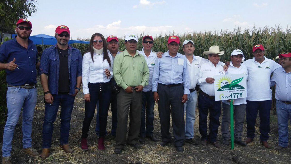 mary_ceb's tweet photo. #ExtensionistasGto, Evento sobre producción sustentable de maíz de alto rendimiento con tecnologías mexicanas. https://t.co/zZI0z6GxPI