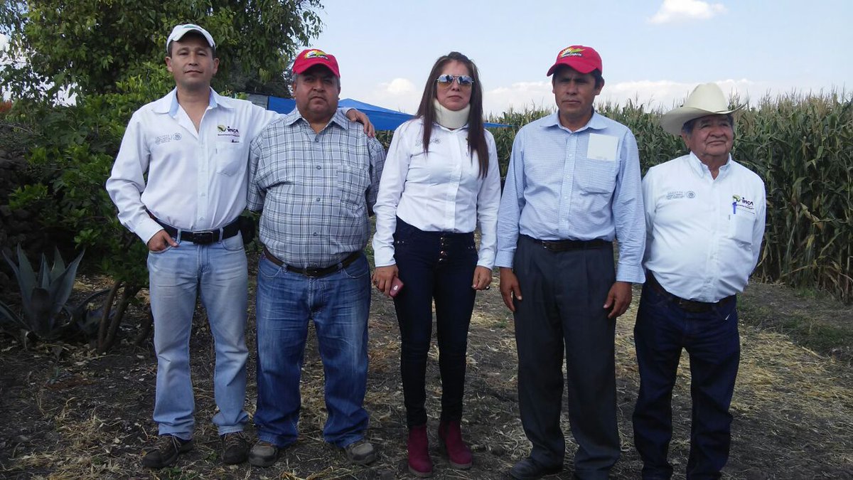 mary_ceb's tweet photo. #ExtensionistasGto, Evento sobre producción sustentable de maíz de alto rendimiento con tecnologías mexicanas. https://t.co/zZI0z6GxPI