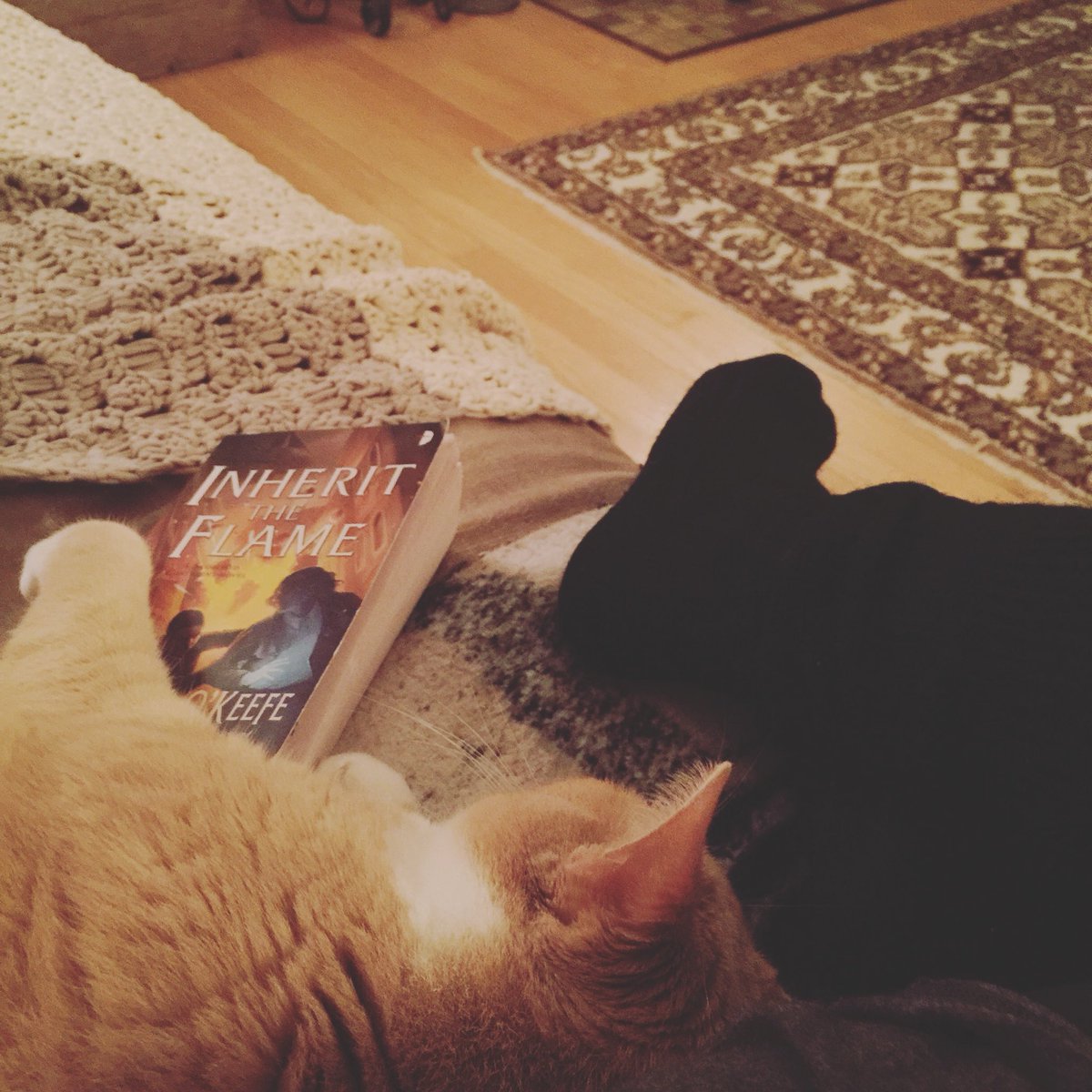 Finished the third book in The Scorched Continent series, really hope there will be more! <a href="/MeganofBlushie/">Megan O'Keefe</a>  #worldbreaker #books #fireflylike