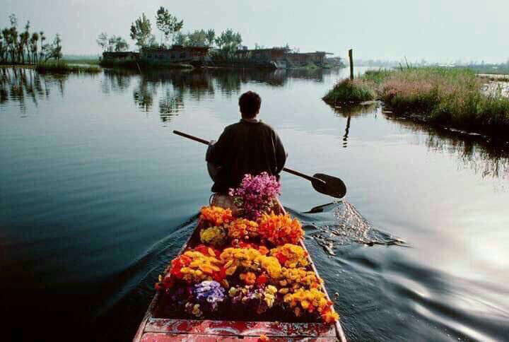 ذلك الذي يسمى رزق الصباحليس شرطا أن يكون مالاً ,ربما ياتي على هيئة حرف أو نبضة نافرة من قلب إحدهم لتلقي عليك تحية الورد 
.#صباح_الخير