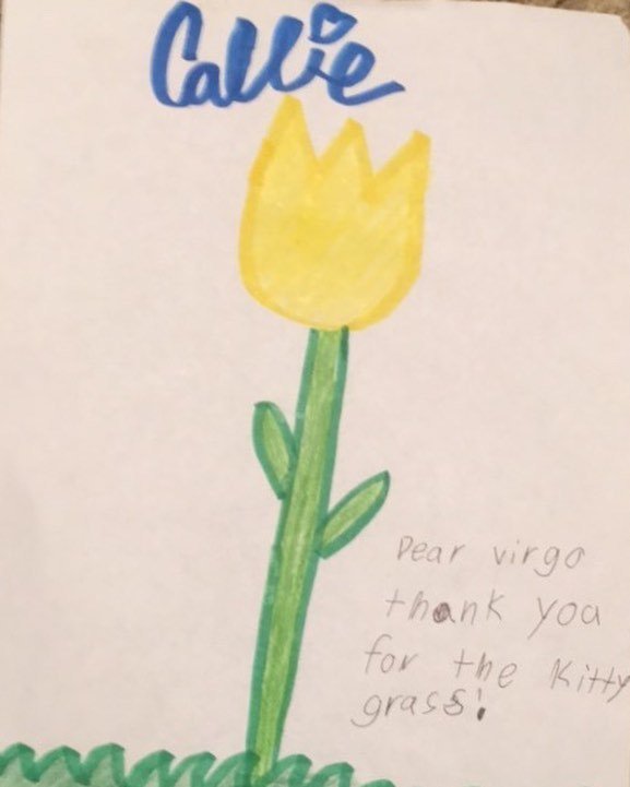 VocalVirgo's tweet image. How sweet. And how freakin’ adorable. #NiceAndSweet #KidsAreAdorable ift.tt/2gtULXV