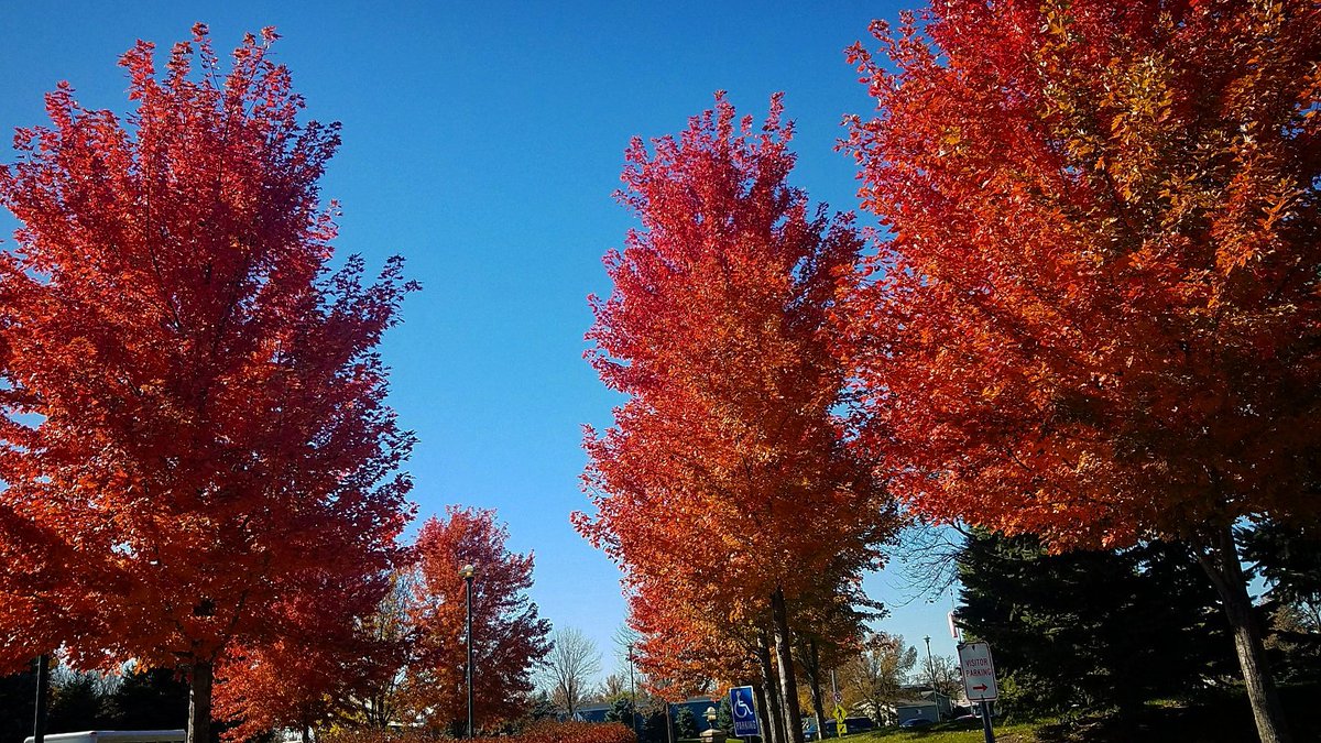 #Fall always a #favorite #season #amazing fall #foods #pumpkinsoup #freshbakedbread <a href="/ArdentMills/">Ardent Mills</a> #Hearty #Stews what's your favorite?