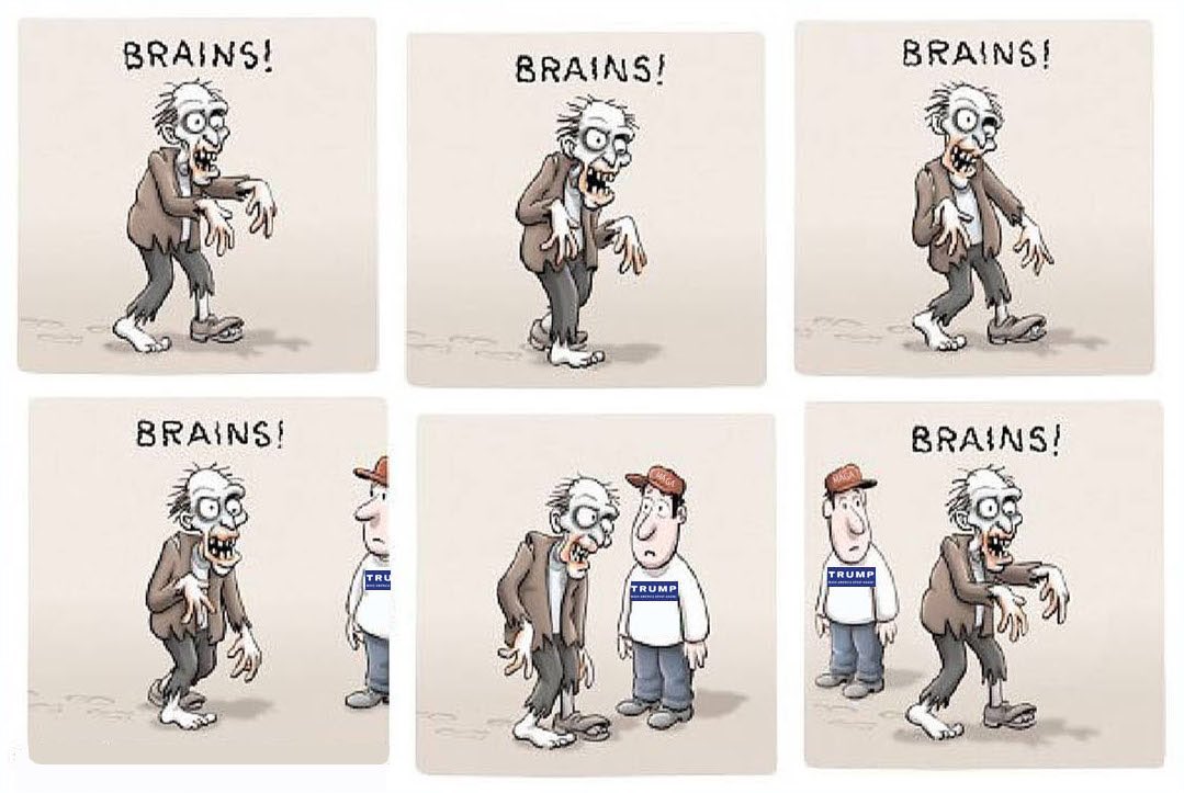 thenastyliberal's tweet photo. The one time not having brains will be beneficial #MAGA #Trumpification #TrumpTrain https://t.co/acdPkrfOCg