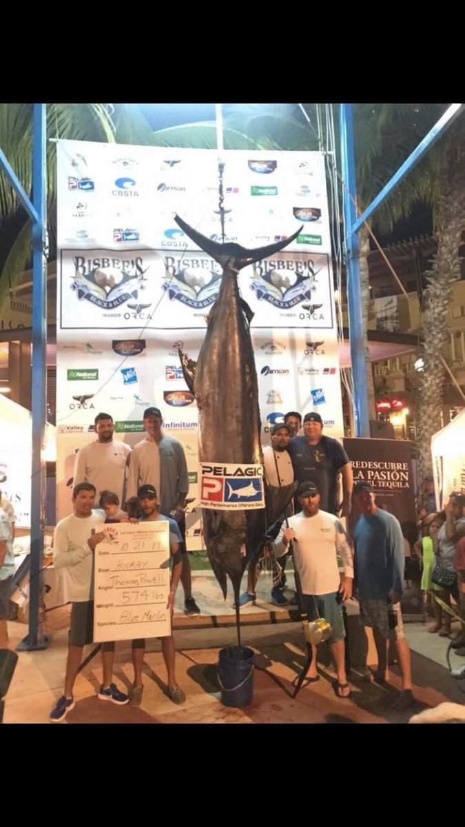 Another great picture of Team Hooray! #loscabos #bisbeeblackandblue #bluemarlin #fishing