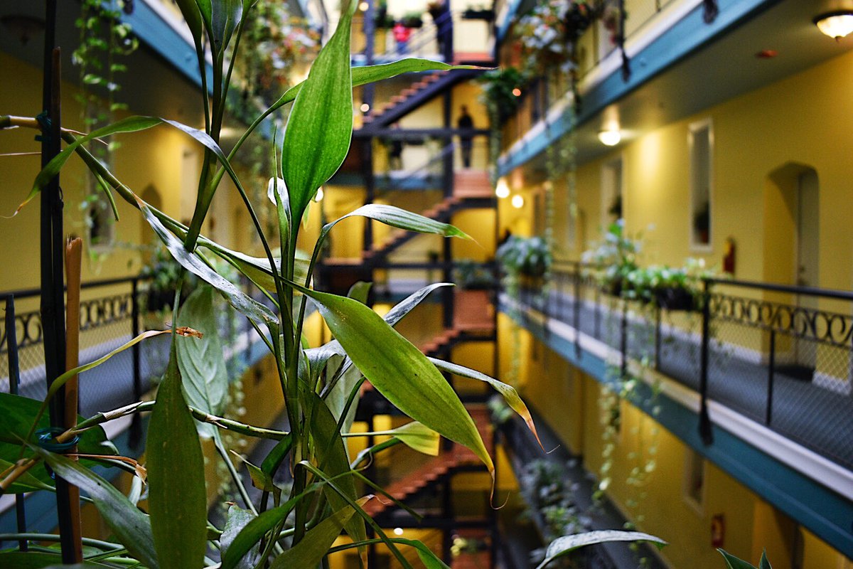 estiloygracia's tweet photo. Plants #Yalebuilding #OHC2017 #southside #chicago https://t.co/rVlDUSkXqv