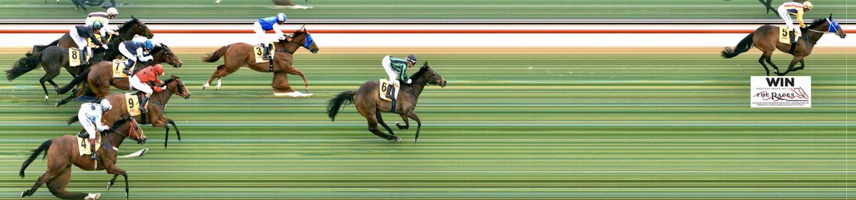 EquianoClub's tweet photo. #EQUIANO full house 🇦🇺 4 runners produce 1st, 2nd,3rd,4th..#BONAIRE 1st in Sth Aus #ESSAKA 2nd in Qld #MIRIMBAH 3rd &amp; #VIVENDI 4th in Vic https://t.co/vFTKmhHYG4