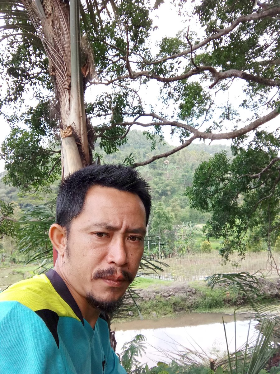 desa_karangsari's tweet photo. Menengok suasana wiloci karangsari
#karangsari https://t.co/x6Kslbv9Hg