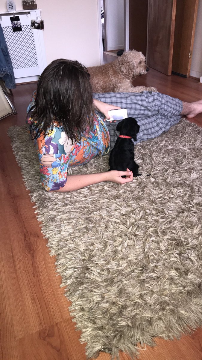 _EmRoe's tweet photo. I think @GeorgeRoe13 has made a new mate. https://t.co/BCwgUHu15r