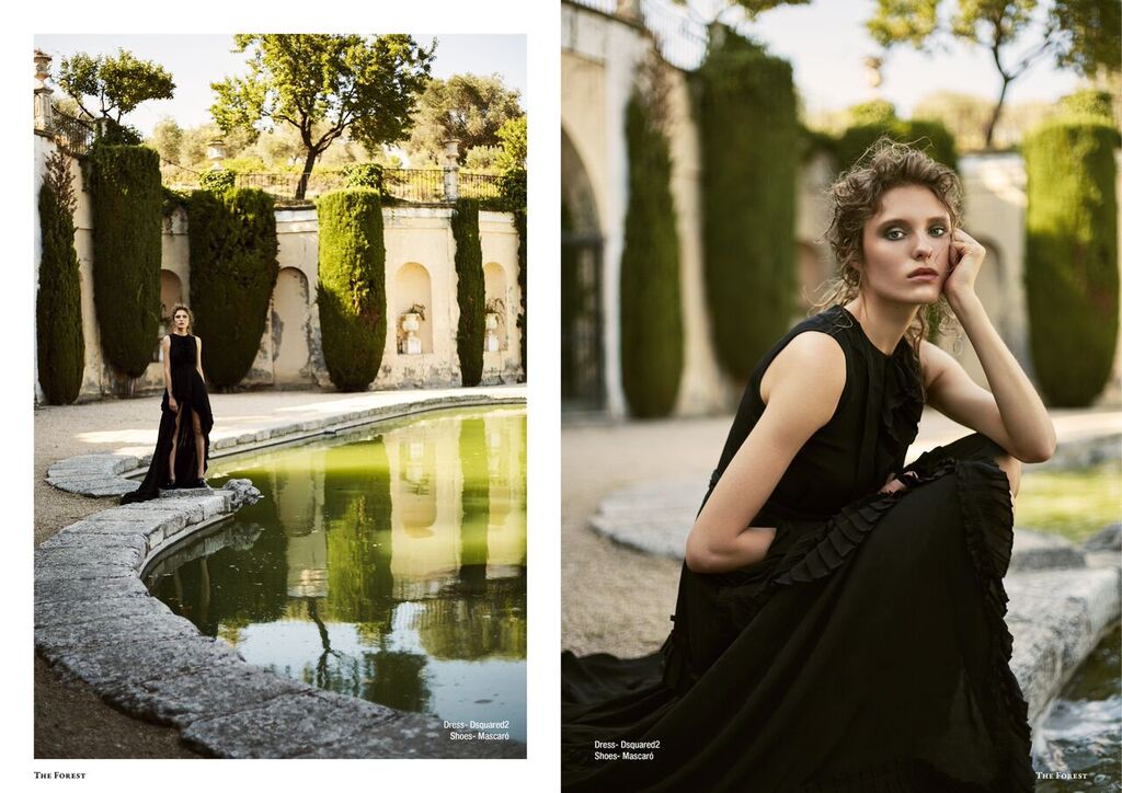 The Forest Magazine 
Photo by me