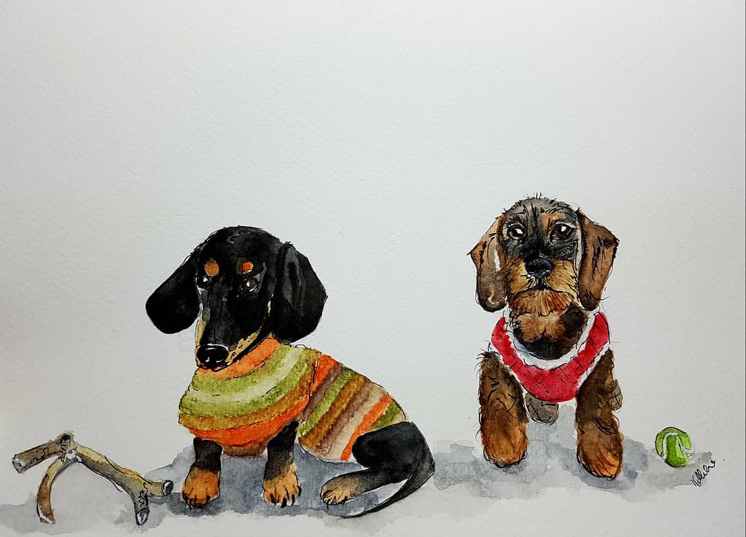 KarenWuffleluv's tweet photo. #recentcommission #sausagedog @DOGliving #petillustrations https://t.co/FS6sXEI6a3