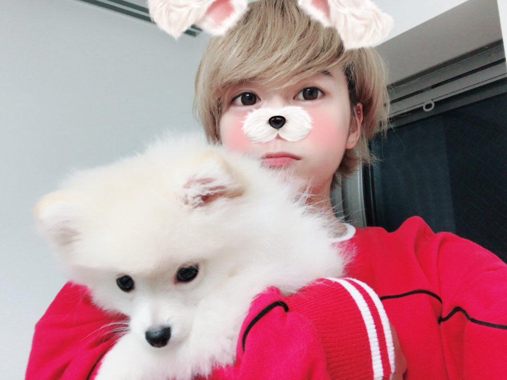 rikunohonmono's tweet photo. どうも親子です🐶 https://t.co/pnJgYSXt0j