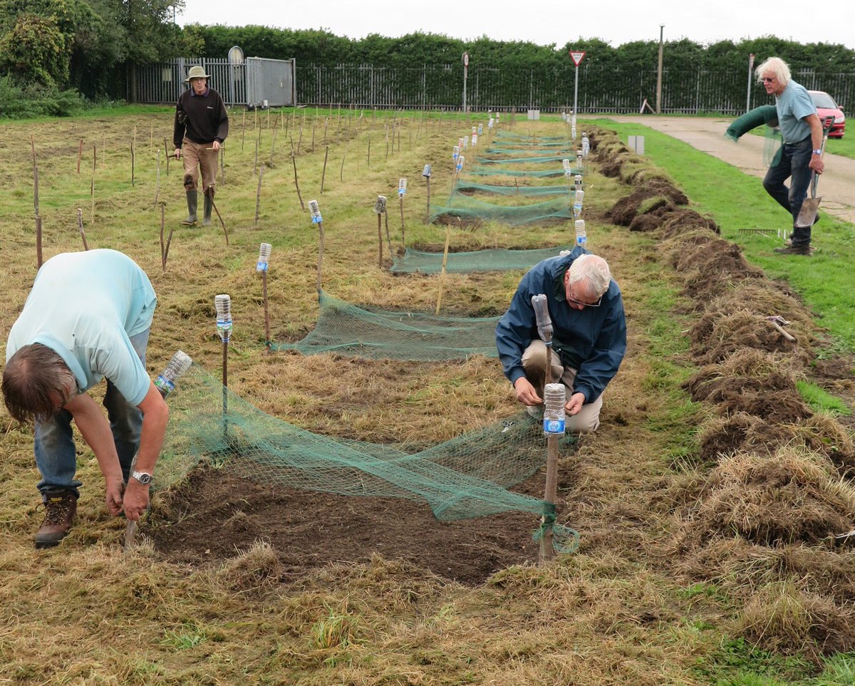 WokingLocalFood's tweet image. Volunteer working party in Old Woking on Thursday 27 October - sowing wildflower seeds at Thames Water: interests.me/org/wokingla21…