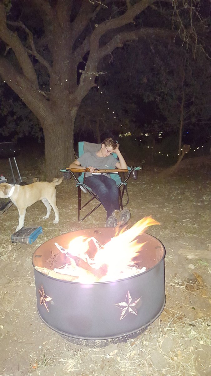 AustinToAcres's tweet photo. Ready to protect at a moment's notice.  #TheKid #FairyCove #WileyTheCoyoteDog https://t.co/CnUCj3m82V