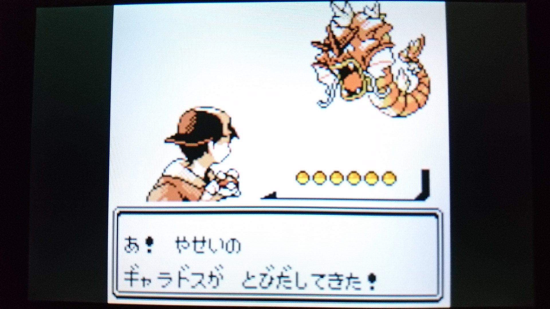 センジ いかりのみずうみの赤いギャラドス ポケモン金銀 T Co C4ur95pytq Twitter