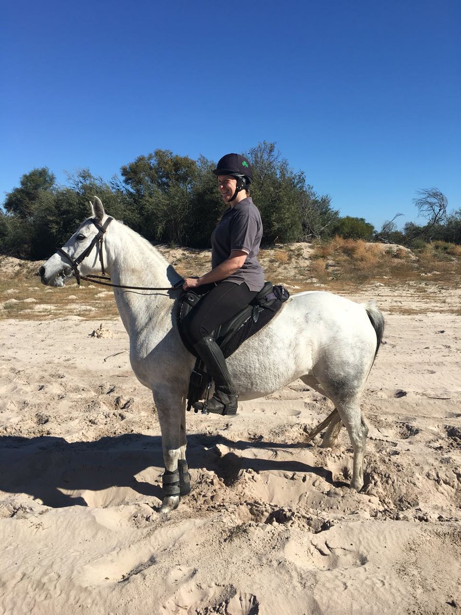 TeresaLEsplin's tweet photo. Met a new #friend this week with a long and fancy name! #horses #riding #happiness #AngloArab https://t.co/K8ebtKz55O