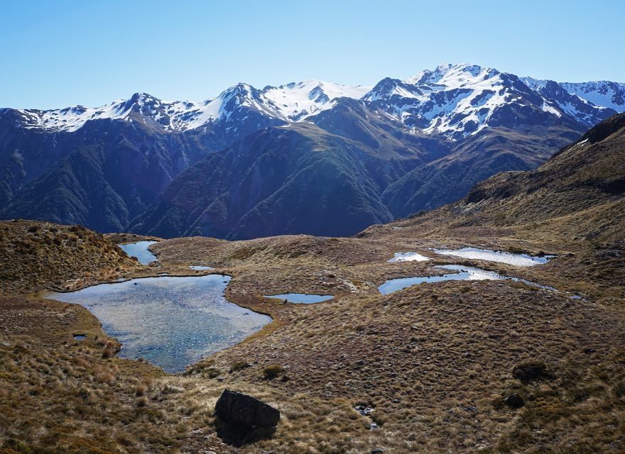 parkecology's tweet photo. Williams Pass on Friday. Thanks for the hot tip @pennyandjamie #wiremu https://t.co/E4hILCJlYt