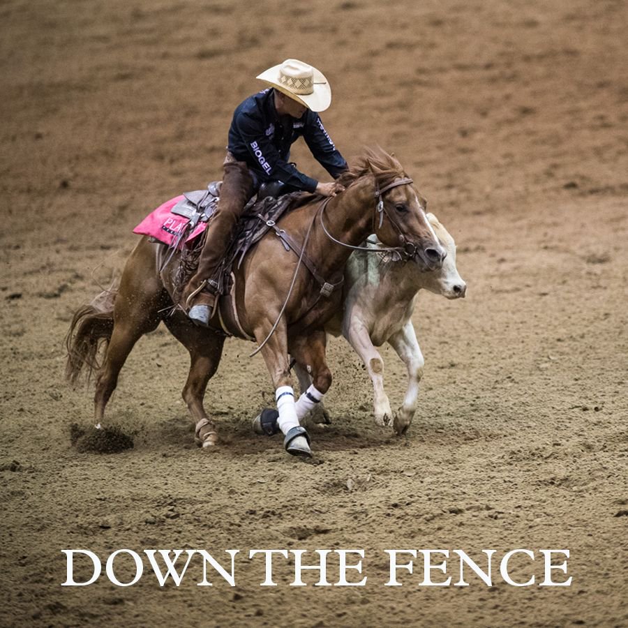 downthefencemov's tweet photo. Run of a lifetime for 2016 Snaffle Bit Futurity Champions Kelby Phillips and Duals Lucky Charm. #kelbyphillips #cowhorse #snafflebitfuturity https://t.co/tg0WzsFyYa