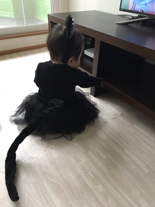 子供用ハロウィン猫仮装を100均で 手作り方法からメイクまで 知恵ペディア