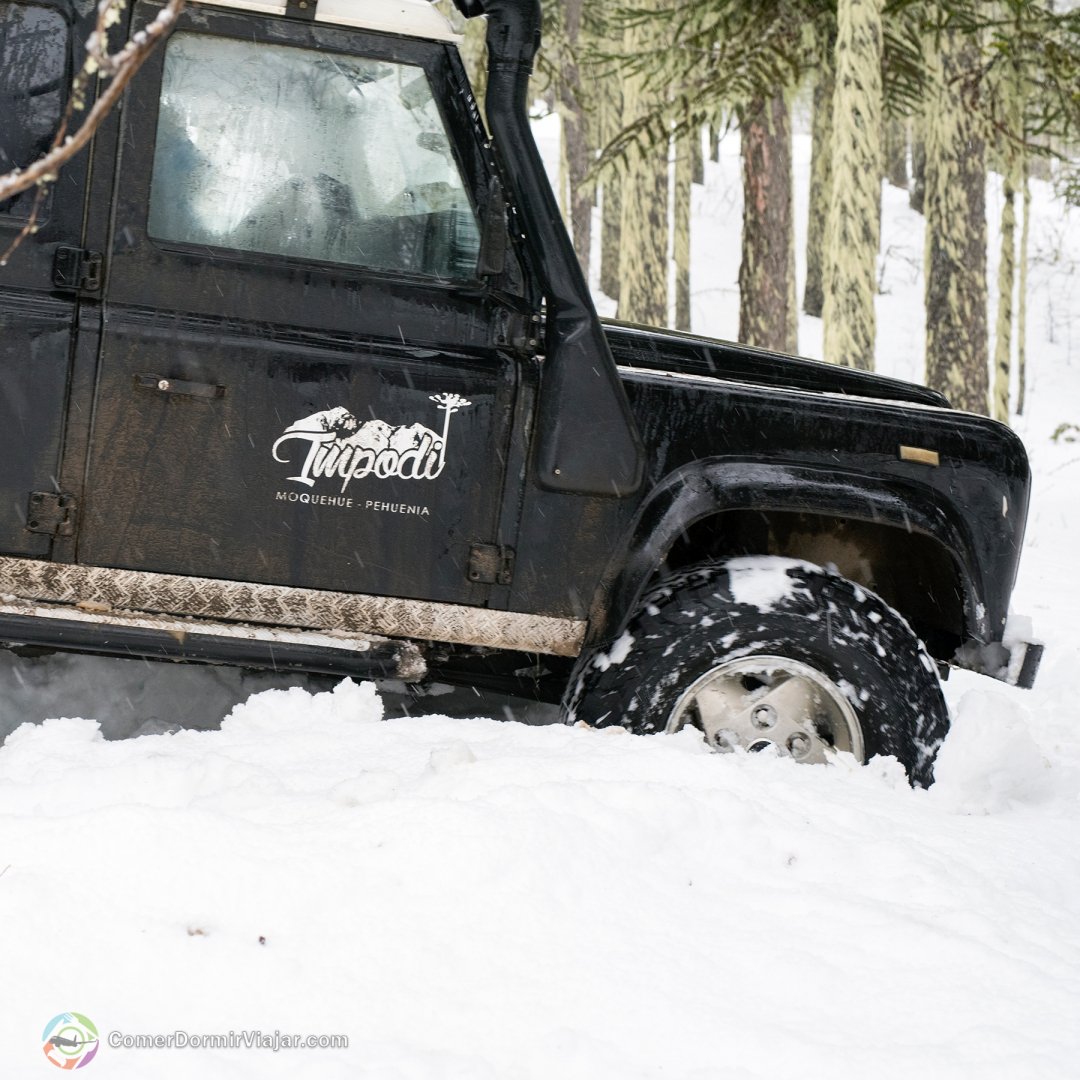 Comer Dormir Viajar tweet media