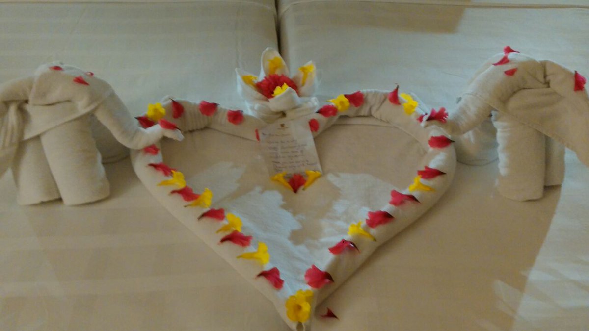 preetaya's tweet photo. #celebrate your day @TridentAgra https://t.co/QUaSCh2Hsb