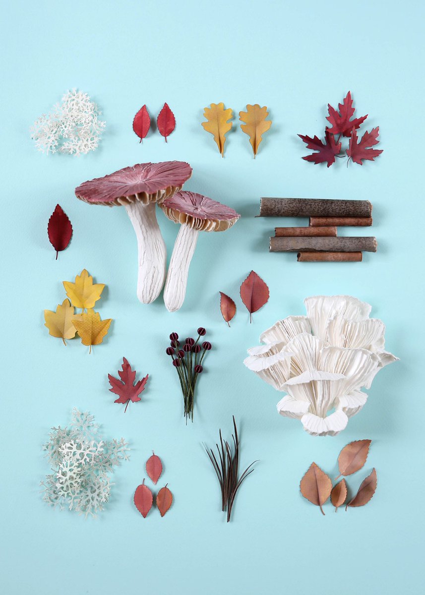 _ppiinnee_'s tweet photo. New series of works! I have been recently working on some fungi for a special commission. Really having fun with these. https://t.co/4JpOZ2T5Vr