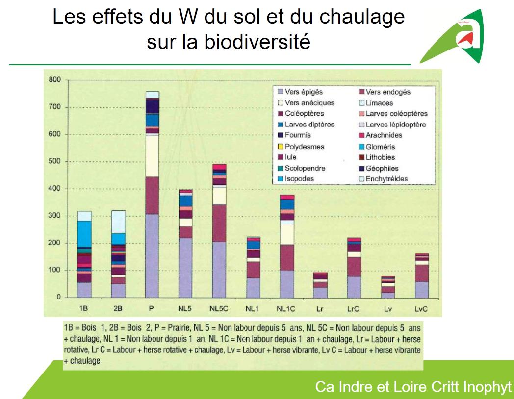 PHautefeuille's tweet photo. Effet du travail du #sols et du #chaulage sur la #biodiversité
https://t.co/F1VtJEqlLO https://t.co/Imt5ZpSJI8