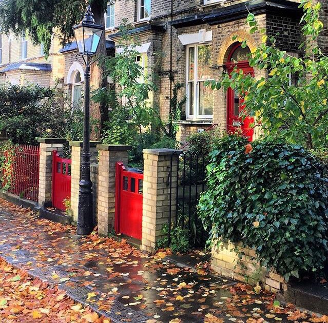 lifestylings's tweet photo. #Autumn #vibes & #Hampstead #homes. #ColorfulLondon @NW_3Hampstead #lifestyle #architecture #LoveLondon @NW3_Hampstead https://t.co/UglGTTbXYo
