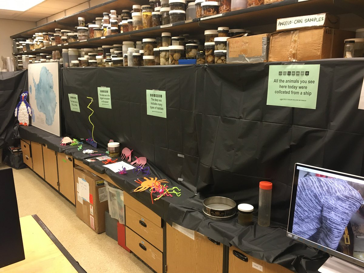 Amanda Ziegler (@amandafziegler) on Twitter photo We had a great time this weekend teaching about the #deepsea, #Antarctica and dead whales! <a href="/uhmanoa/">University of Hawaii at Manoa</a> <a href="/SOESTopen/">SOEST Open House</a> <a href="/EYSci/">Emily Young</a> We had a great time this weekend teaching about the #deepsea, #Antarctica and dead whales! <a href="/uhmanoa/">University of Hawaii at Manoa</a> <a href="/SOESTopen/">SOEST Open House</a> <a href="/EYSci/">Emily Young</a>