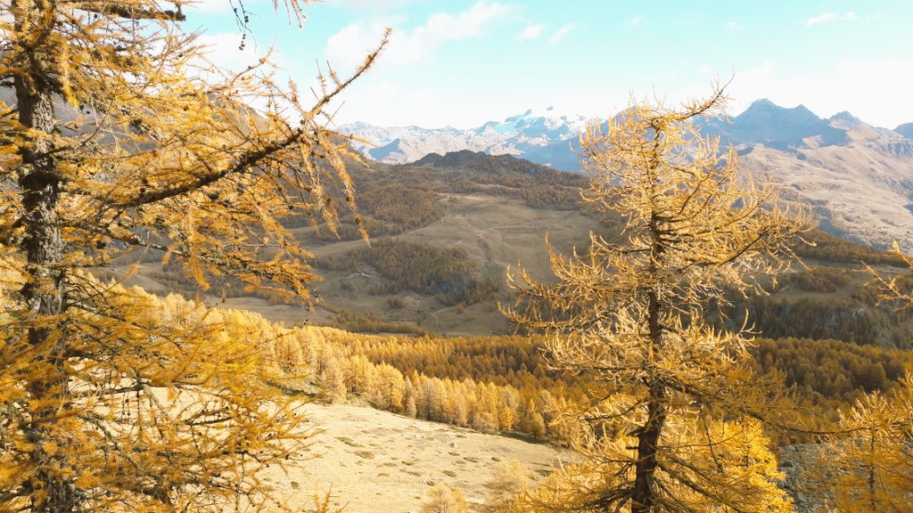 GTKappa's tweet photo. Si parte... per la passeggiata del #foliage a #Torgnon! @TorgnonTurismo https://t.co/KspxLbdOm6
