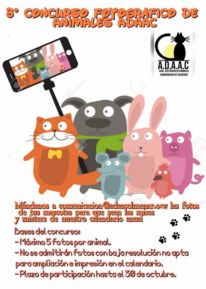 Concurso fotográfico!! Buscamos 12 misters y misses! Quieres que tu peludo salga en nuestro calendario? Mira cómo: ift.tt/2y7skt8