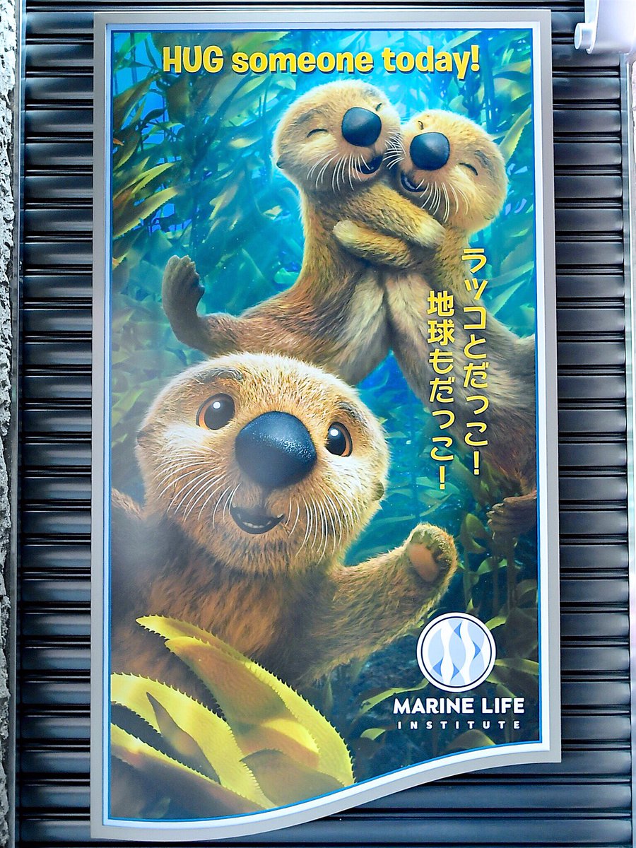 シーライダー ニモ ラッコ