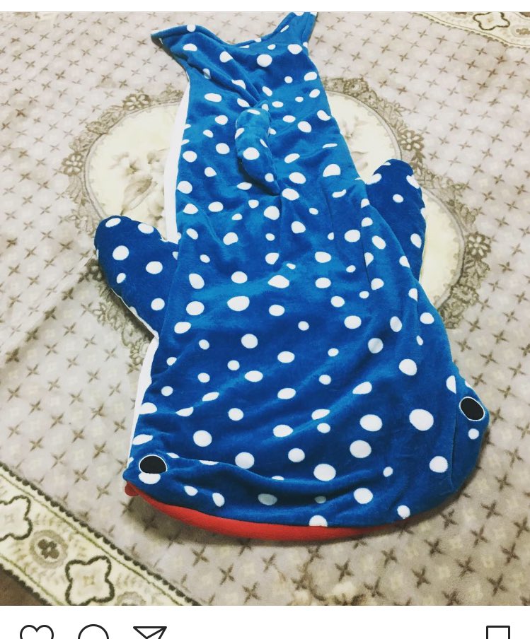 株式 ブロンズ 頬骨 しまむら 毛布 暖かい Kawakatsunaika Jp